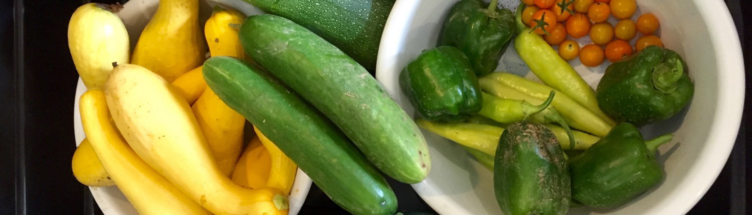 Fresh veggies picked from the community garden